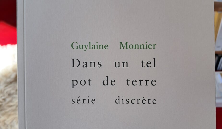 Dans un tel pot de terre de Guylaine Monnier