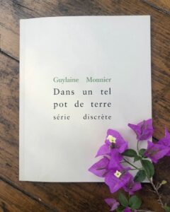 Dans un tel pot de terre guylaine monnier chez Série discrète